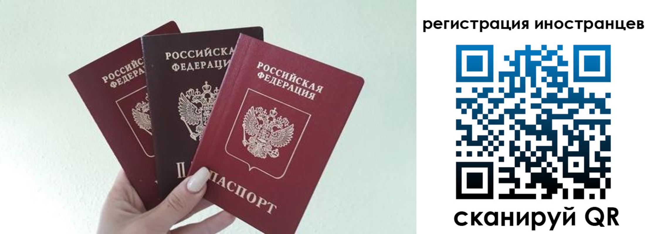 миграционный учет в Тайге